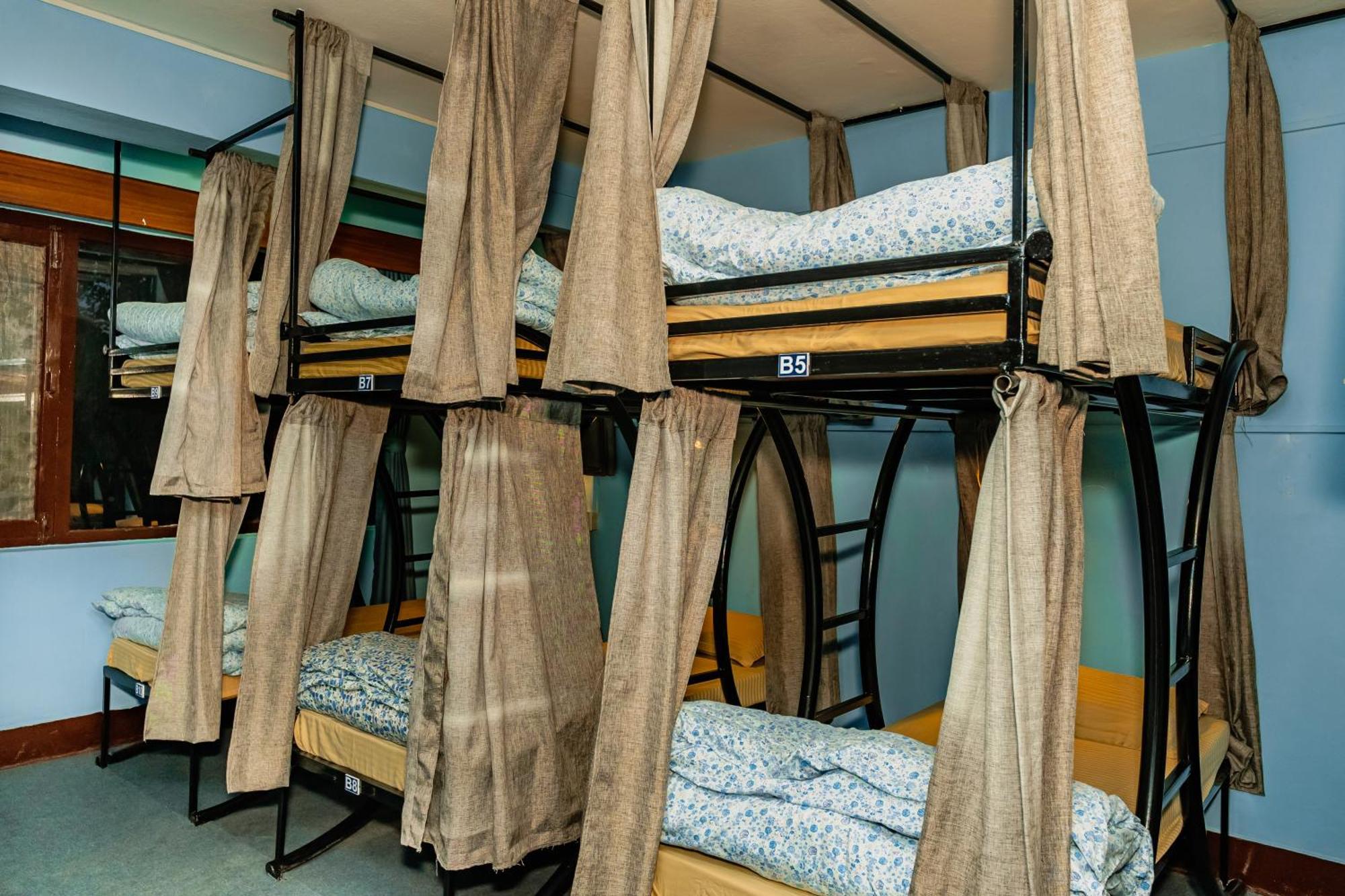 Bed in 10-Bed Mixed Dormitory Room